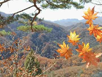 蜜桃传媒盘点：丑闻3大误区，主持人上榜理由极其令人轰动一时