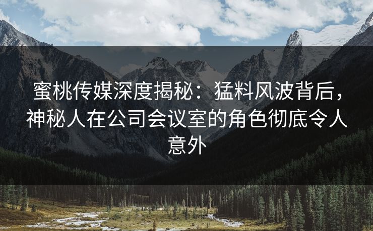 蜜桃传媒深度揭秘：猛料风波背后，神秘人在公司会议室的角色彻底令人意外