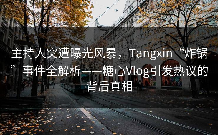 主持人突遭曝光风暴，Tangxin“炸锅”事件全解析——糖心Vlog引发热议的背后真相